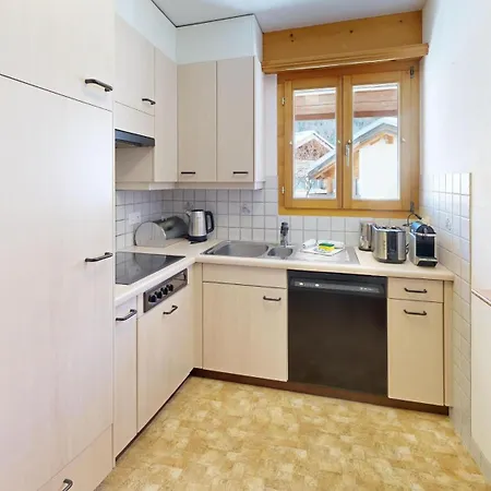 Auricula 3 2 סילס מריה