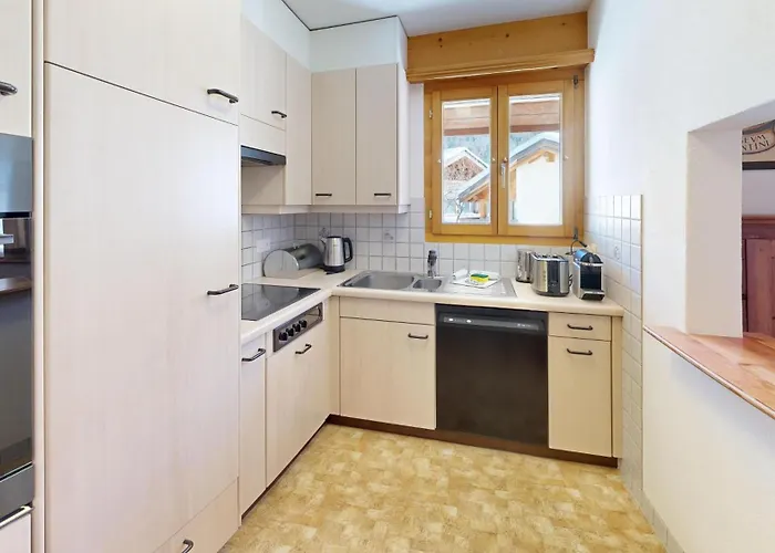 Auricula 3 2 סילס מריה