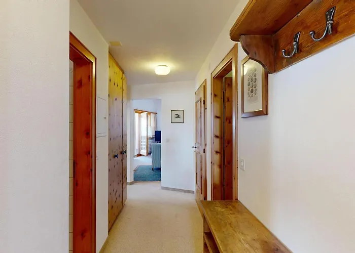 Auricula 3 2 סילס מריה